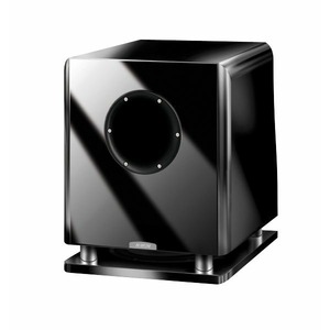 Фазоинверторный сабвуфер Quadral Orkus Cherry