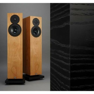 Напольная акустика Kudos X2 Black