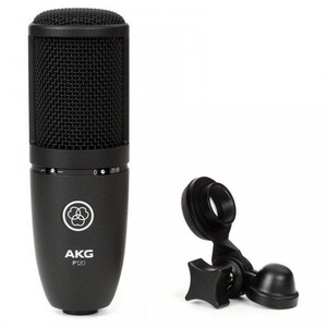 Микрофон студийный конденсаторный AKG Perception 120 (P120)