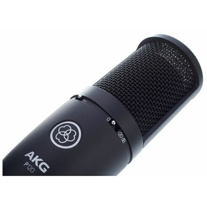 Микрофон студийный конденсаторный AKG Perception 120 (P120)