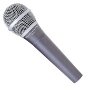 Вокальный микрофон (динамический) Wharfedale Pro DM 2.0S