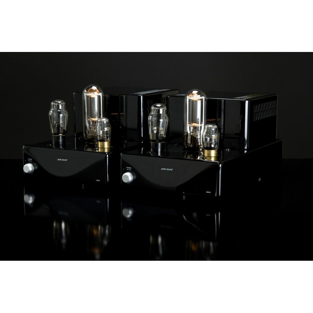 Усилитель мощности Pure Sound M 845