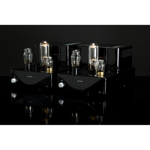 Усилитель мощности Pure Sound M 845