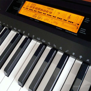 Пианино цифровое Casio CDP-220RBK