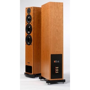 Напольная акустика PMC PB1i Oak