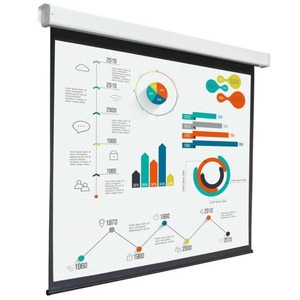 Экран для проектора Digis Electra 220x165 MW 104 inch DSEM-4304