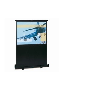 Экран для проектора Projecta LiteScreen 98x128 Datalux inch 60 (10530154)