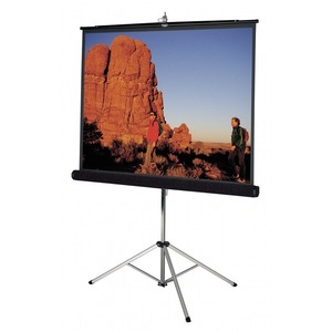 Экран для проектора Projecta Picture King 162x213 High Power inch 100 (10430026)