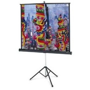 Экран для проектора Projecta ProView 152x152 Matte White (10430112)