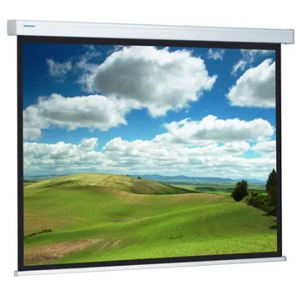 Экран для дома, настенно потолочный с электроприводом Projecta Compact Electrol 168x220 Datalux inch 103 (10101981)