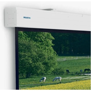 Экран для дома, настенно потолочный с электроприводом Projecta Compact Electrol 168x220 Datalux inch 103 (10101981)