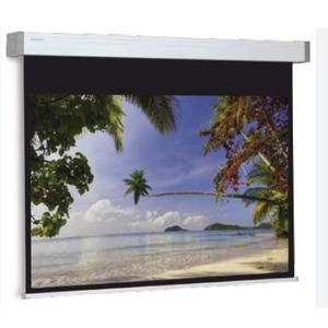 Экран для дома, настенно потолочный с электроприводом Projecta Compact Electrol 168x220 Datalux inch 103 (10101981)