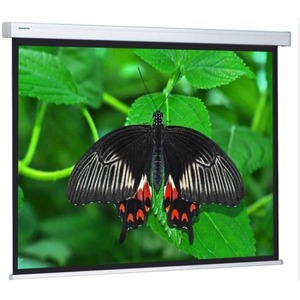 Экран для дома, настенно потолочный с электроприводом Projecta Compact Electrol 173х300 Matte White inch 131 (10101173)