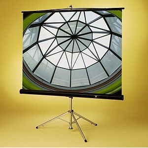 Экран для проектора Draper VScreen AV (1:1) 96/96 244x244 MW (02210008)