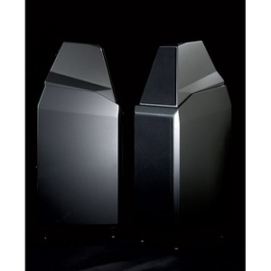 Напольная акустика Wilson Audio Sasha W/P Diamond Black