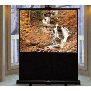 Экран для проектора Draper Accuscreens Electric NTSC (3:4) 244/8 (60x80) 152*203 MW