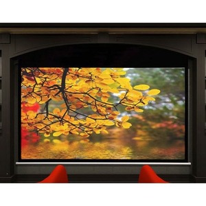 Экран для проектора Draper Accuscreens Electric NTSC (3:4) 213/7 (50x67) 127*170 MW