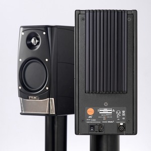 Активная акустика PMC AML2