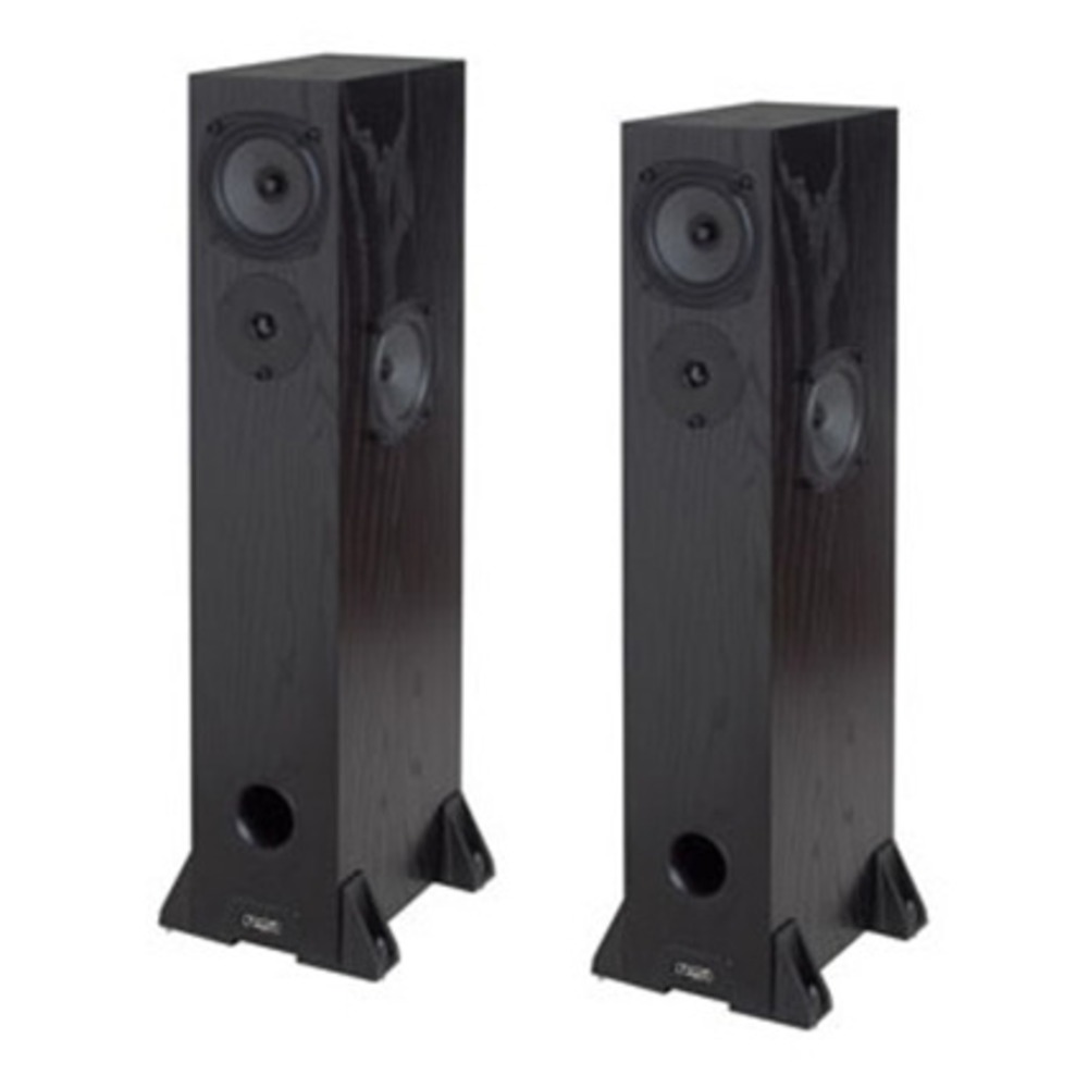 Напольная акустика Rega RS3 Black Ash