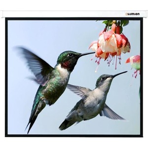 Экран для проектора Lumien Master Picture 129x200 см Matte White FiberGlass LMP-100132