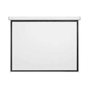 Экран для проектора Digis Ellipse 16:9 104 (214*240) 130*230 MW DSEES-16903W