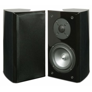 Полочная акустика RBH R5BiR Bookshelf Speakers Red Burl