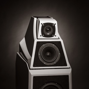 Напольная акустика Wilson Audio Alexia Desert Silver (metallic)