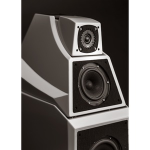 Напольная акустика Wilson Audio Alexia Desert Silver (metallic)