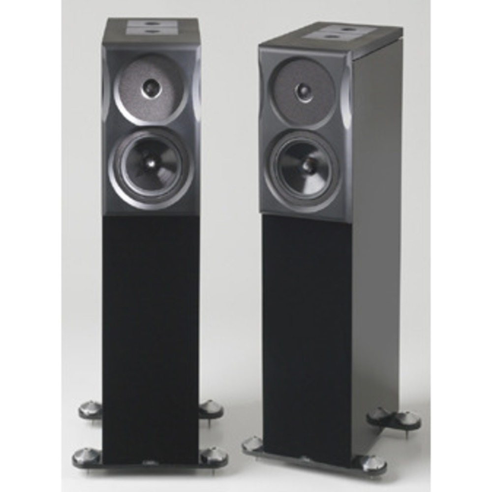 Напольная акустика NEAT XL6 Piano Black high gloss