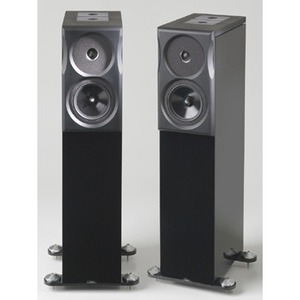 Напольная акустика NEAT XL6 Piano Black high gloss