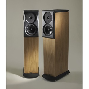 Напольная акустика NEAT XLi Walnut