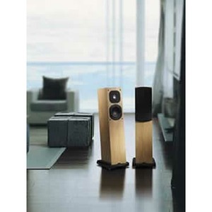 Напольная акустика NEAT Motive 2 natural oak