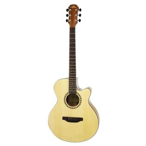 Акустическая гитара ARIA TG-1 N