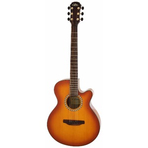 Акустическая гитара ARIA TG-1 LVS