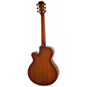 Акустическая гитара ARIA TG-1 LVS