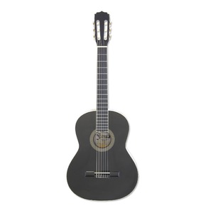 Классическая гитара ARIA FIESTA FST-200-58 BK