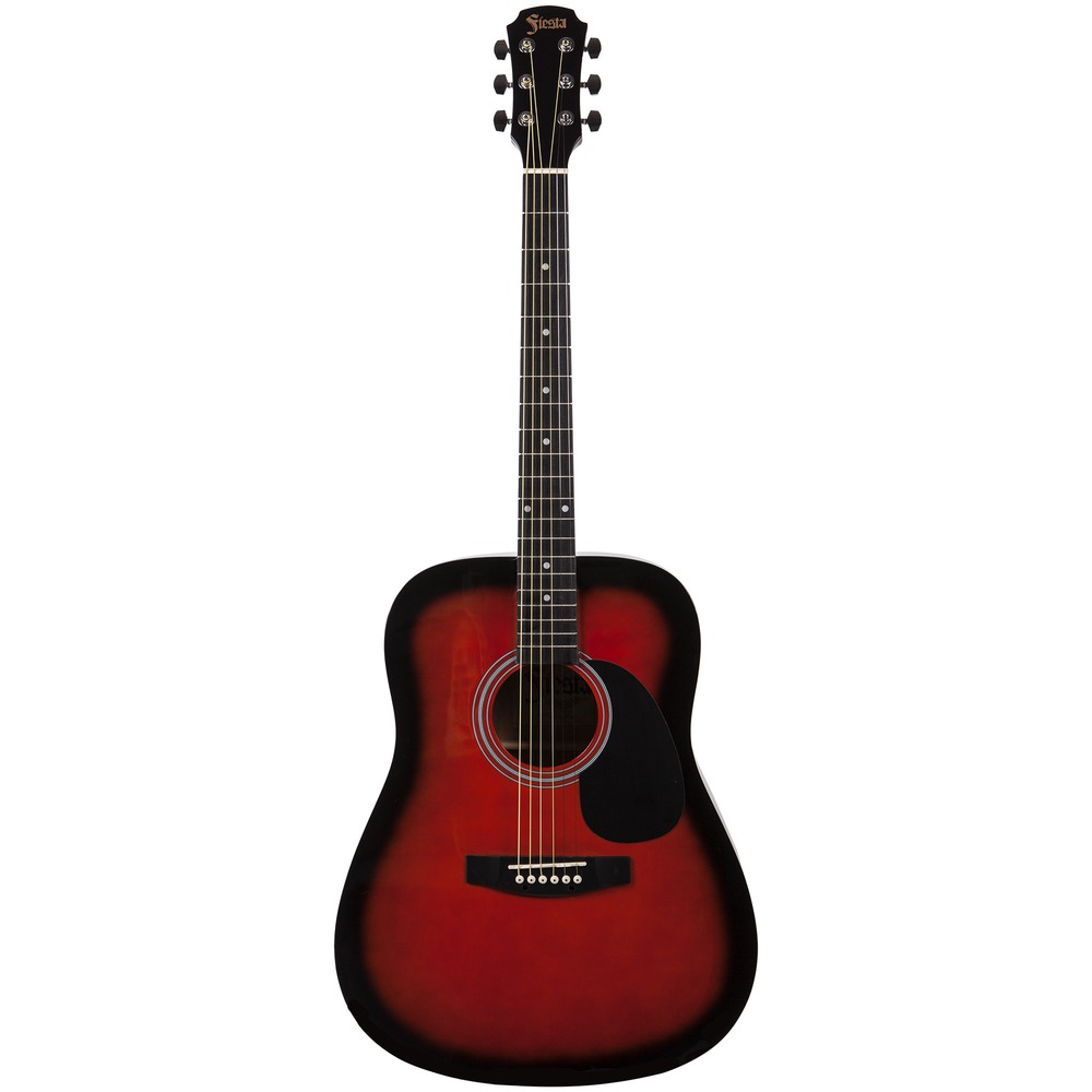 Акустическая гитара ARIA FIESTA FST-300 BS