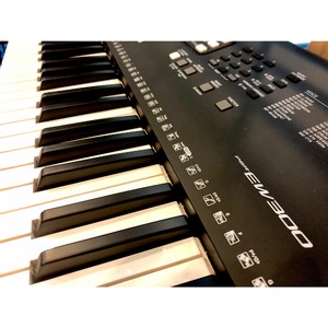 Цифровой синтезатор Yamaha PSR-EW300