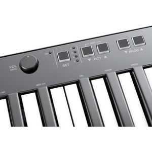 Миди клавиатура IK MULTIMEDIA iRig Keys 37 PRO USB