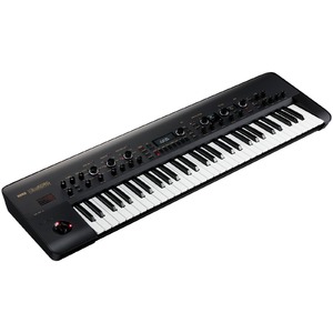 Аналоговый синтезатор KORG KINGKORG-BK