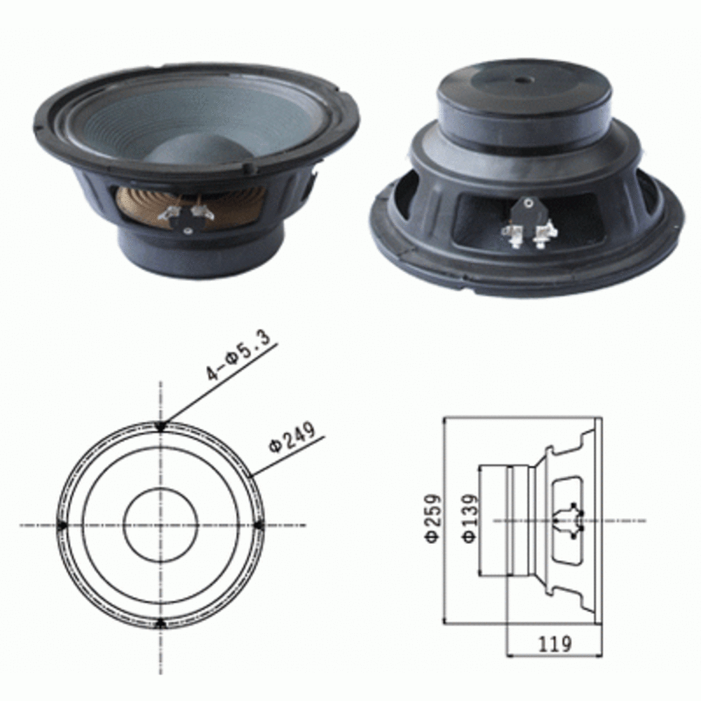 Динамик профессиональный СЧ/НЧ Biema BML-T1002