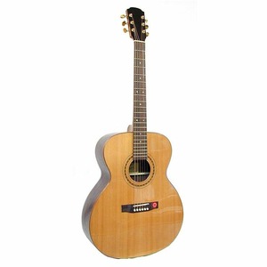 Акустическая гитара Strunal J977