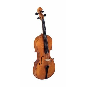 Скрипка Strunal 29w-1/2