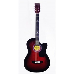 Акустическая гитара Suzuki SSG-6C RDS
