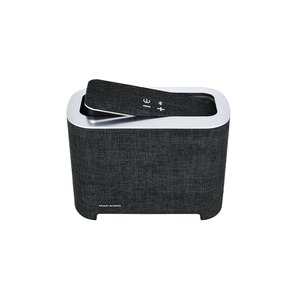 Портативная акустика Mac Audio BT 5000
