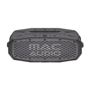 Портативная акустика Mac Audio BT Wild 601