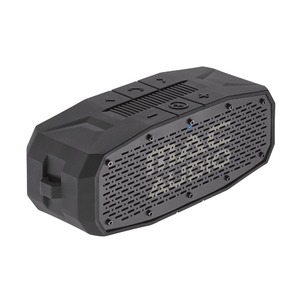 Портативная акустика Mac Audio BT Wild 601