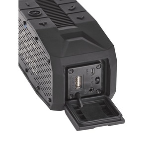 Портативная акустика Mac Audio BT Wild 601