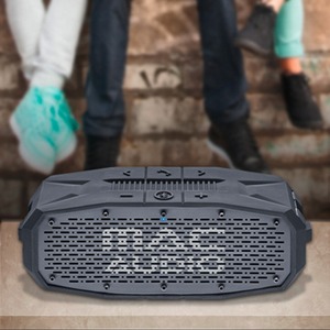 Портативная акустика Mac Audio BT Wild 601