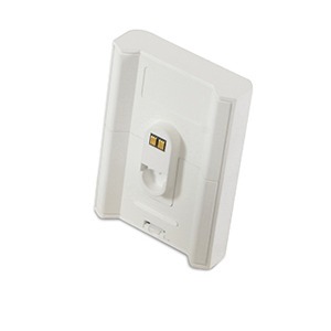 Портативная акустика Bluesound BP100 white